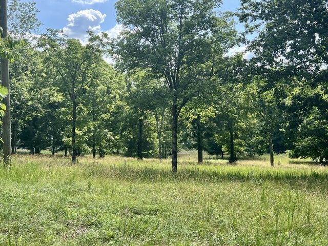 6456 Arno College Grove Rd, College Grove, TN 37046