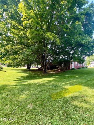 2703 Schumway Drive, Johnson City, TN 37601