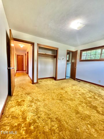 2703 Schumway Drive, Johnson City, TN 37601