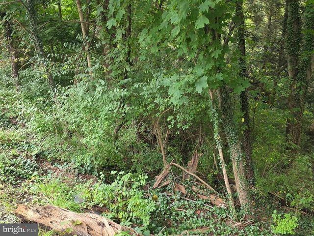 1139 HAMPTON AVE, Morgantown, WV 26505