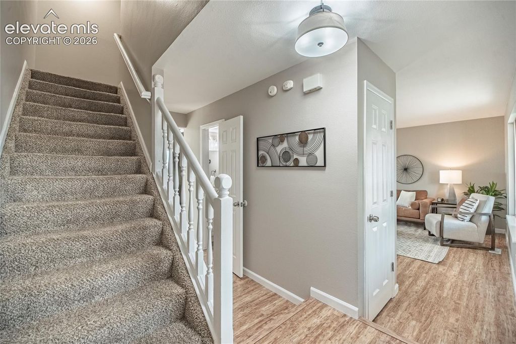 4325 Ramblewood Drive, Colorado Springs, CO 80920 — photo 3