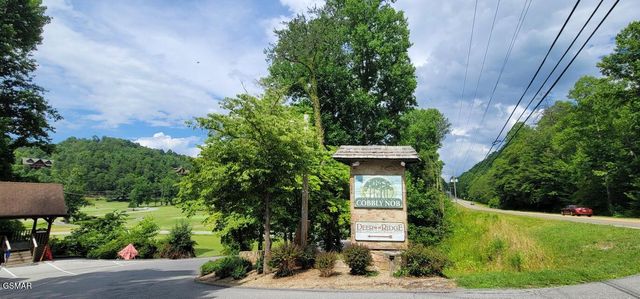 839 Deer Path Lane, Gatlinburg, TN 37738