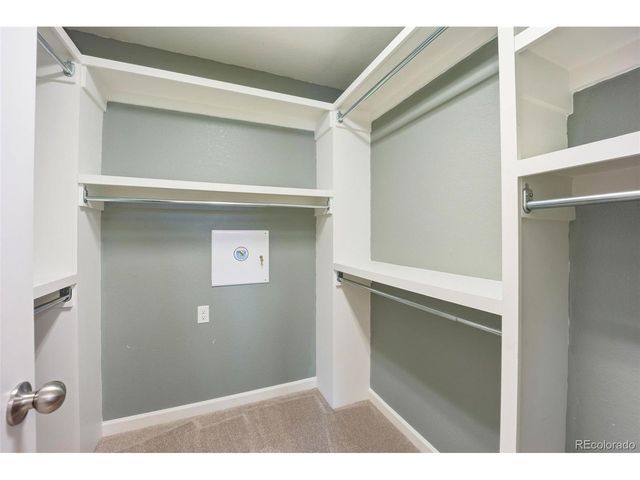 4486 Elegant St, Castle Rock, CO 80109