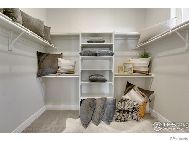 2039 Morningstar Way, Fort Collins, CO 80524