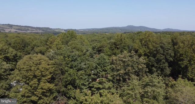 20296 CONSTITUTION HWY, Orange, VA 22960