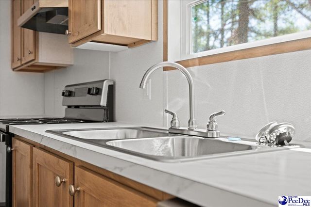4043 Lake Swamp Rd, Timmonsville, SC 29161