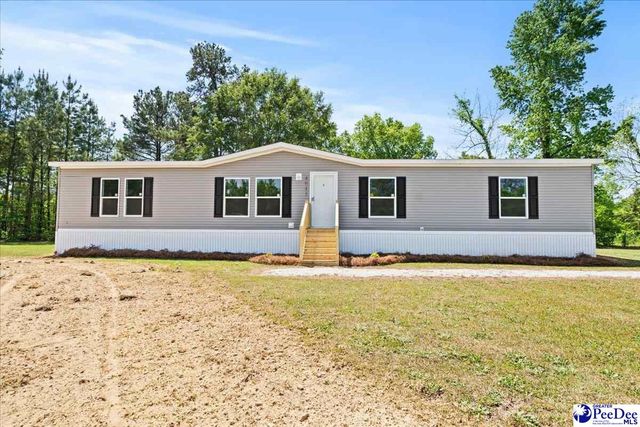 4043 Lake Swamp Rd, Timmonsville, SC 29161