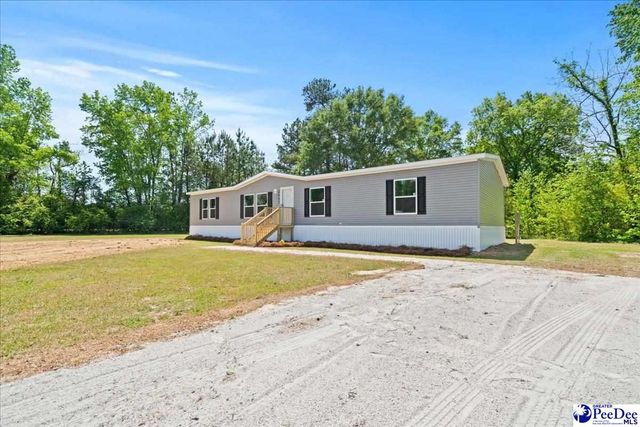 4043 Lake Swamp Rd, Timmonsville, SC 29161