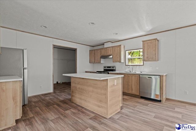 4043 Lake Swamp Rd, Timmonsville, SC 29161