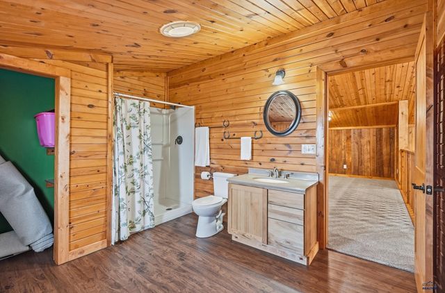 22219 SADDLE RD, Piedmont, SD 57769