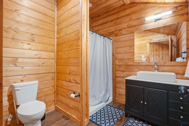 22219 SADDLE RD, Piedmont, SD 57769