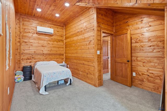 22219 SADDLE RD, Piedmont, SD 57769