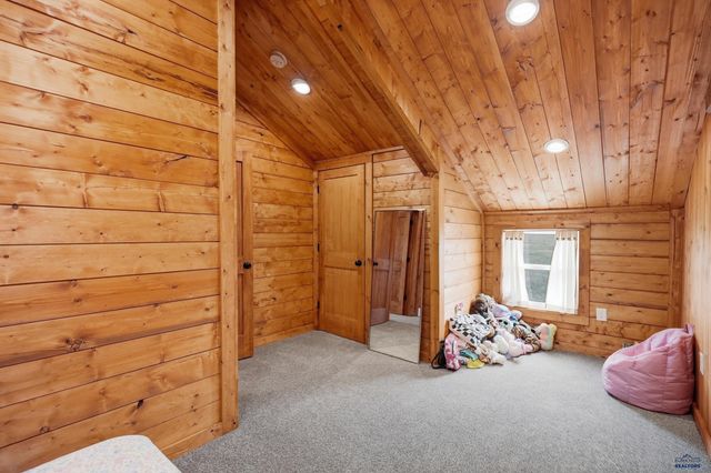 22219 SADDLE RD, Piedmont, SD 57769