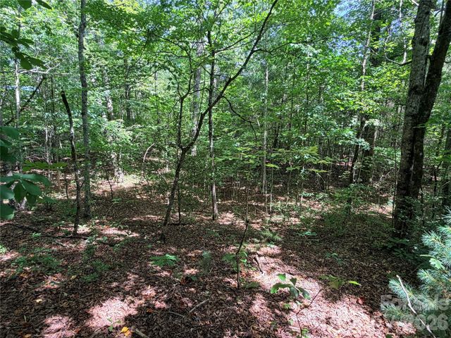 00 Grassy Knob Road 5, Mill Spring, NC 28756