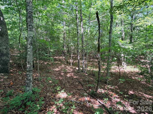 00 Grassy Knob Road 5, Mill Spring, NC 28756