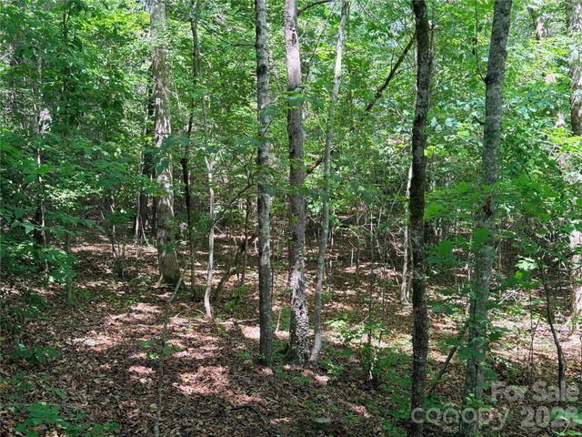 00 Grassy Knob Road 5, Mill Spring, NC 28756