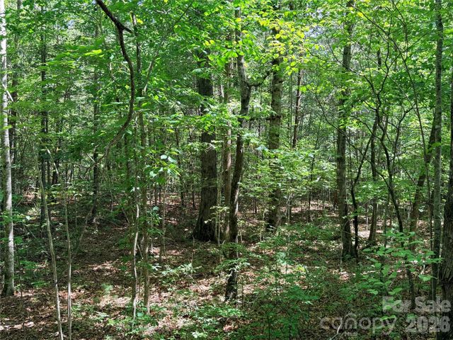 00 Grassy Knob Road 5, Mill Spring, NC 28756