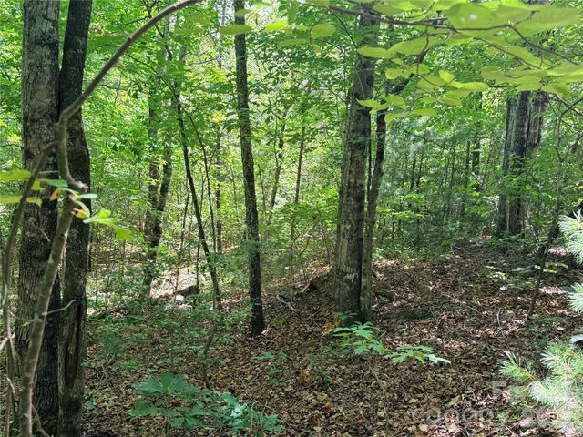 00 Grassy Knob Road 5, Mill Spring, NC 28756