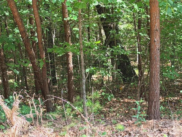00 Grassy Knob Road 5, Mill Spring, NC 28756