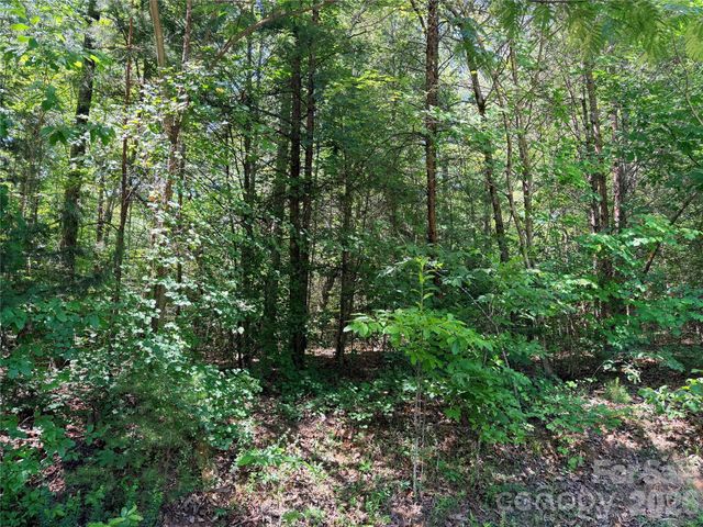 00 Grassy Knob Road 5, Mill Spring, NC 28756