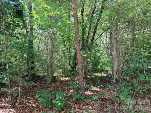 00 Grassy Knob Road 5, Mill Spring, NC 28756