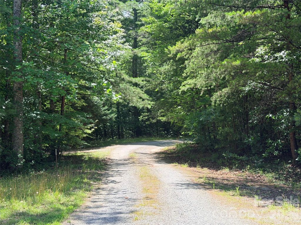 00 Grassy Knob Road 5, Mill Spring, NC 28756