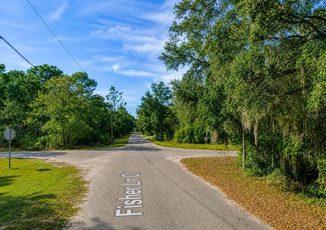 FISHER LN CT, Ocklawaha, FL 32179