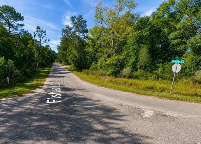 FISHER LN CT, Ocklawaha, FL 32179