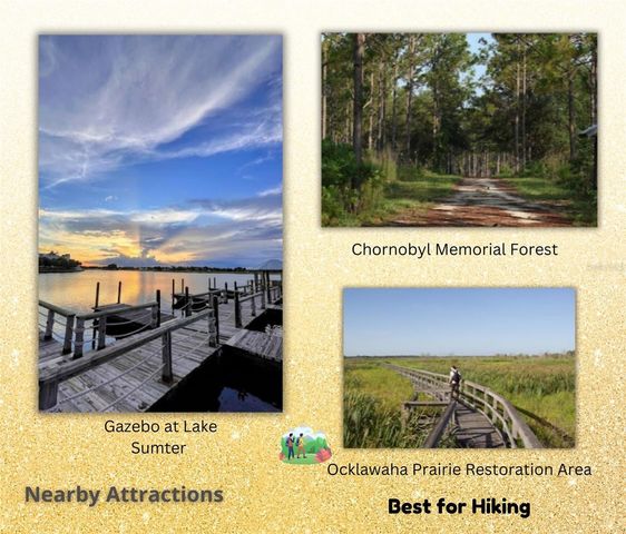 FISHER LN CT, Ocklawaha, FL 32179