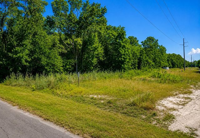 FISHER LN CT, Ocklawaha, FL 32179
