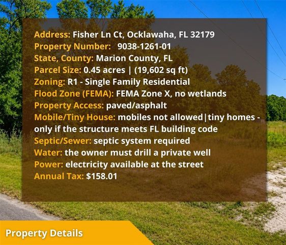 FISHER LN CT, Ocklawaha, FL 32179