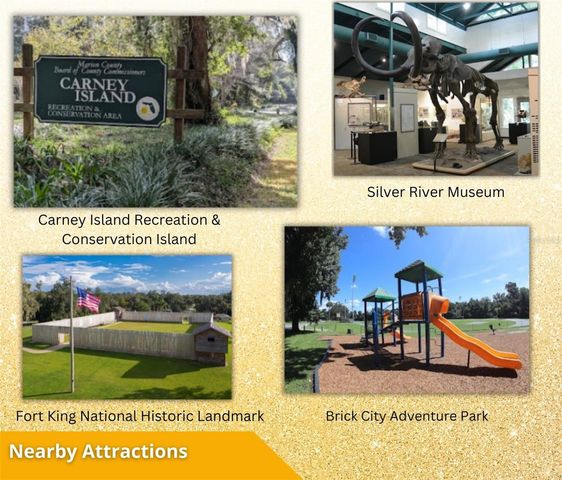 FISHER LN CT, Ocklawaha, FL 32179