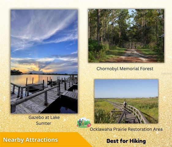FISHER LN CT, Ocklawaha, FL 32179