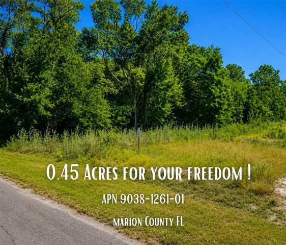 FISHER LN CT, Ocklawaha, FL 32179