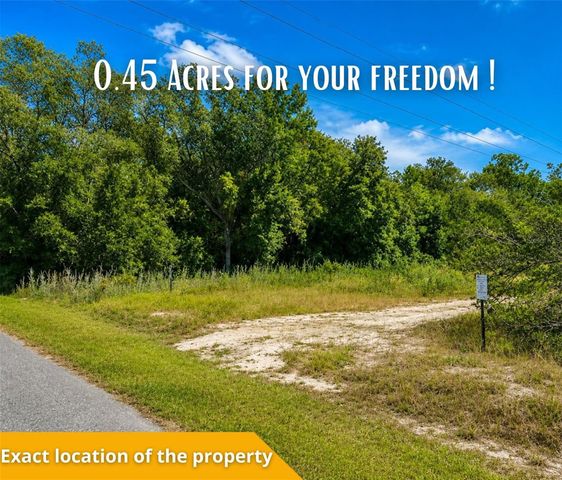FISHER LN CT, Ocklawaha, FL 32179