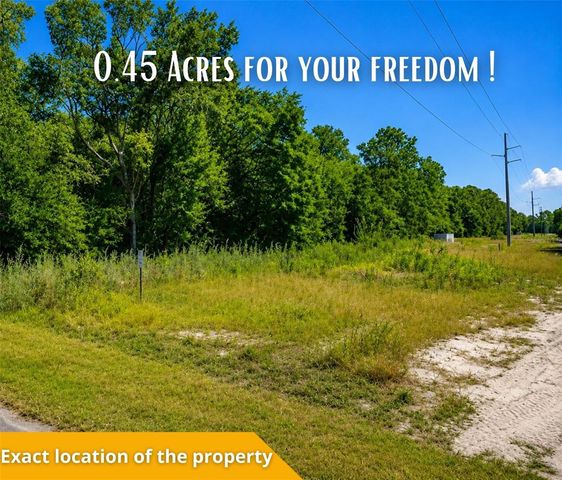 FISHER LN CT, Ocklawaha, FL 32179