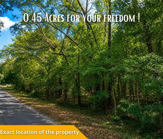 FISHER LN CT, Ocklawaha, FL 32179