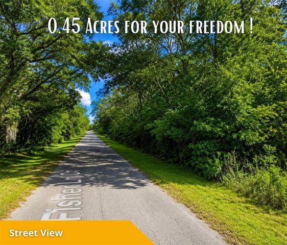 FISHER LN CT, Ocklawaha, FL 32179