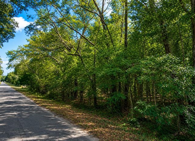 FISHER LN CT, Ocklawaha, FL 32179