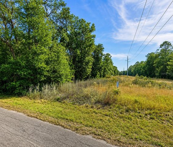 FISHER LN CT, Ocklawaha, FL 32179