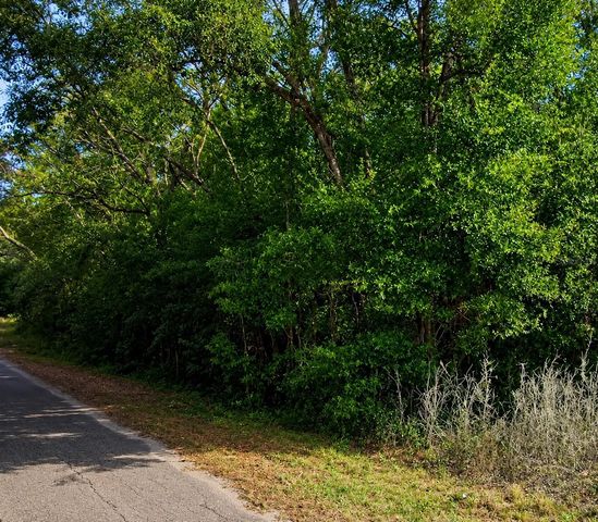 FISHER LN CT, Ocklawaha, FL 32179