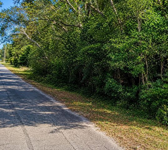FISHER LN CT, Ocklawaha, FL 32179