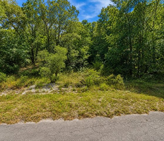 FISHER LN CT, Ocklawaha, FL 32179