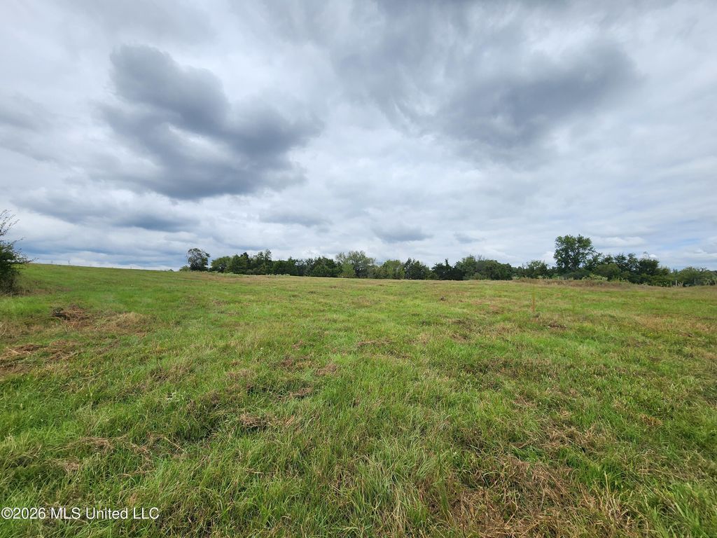 10.02 Bub Jamison Road, Coldwater, MS 38618 — photo 4