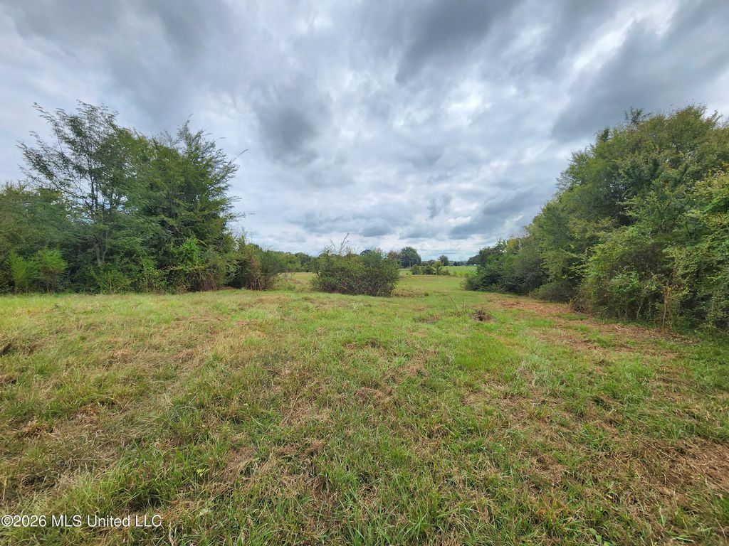 10.02 Bub Jamison Road, Coldwater, MS 38618 — photo 5