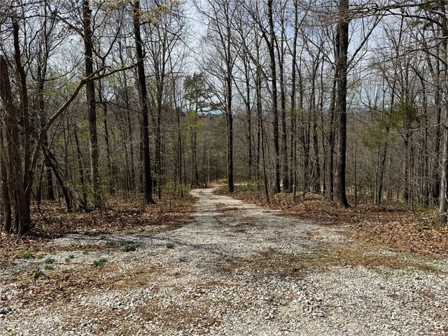 TBD3 Hwy 123, Hasty, AR 72640