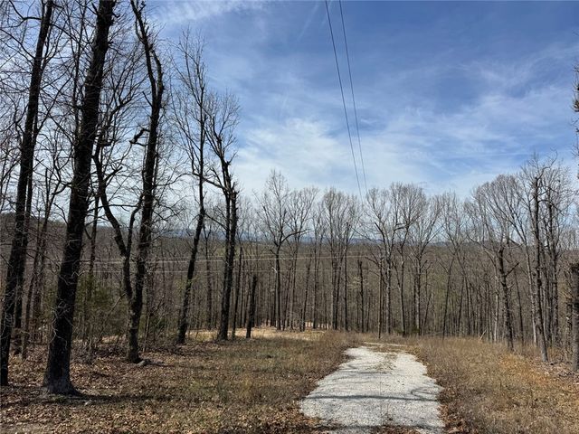 TBD3 Hwy 123, Hasty, AR 72640