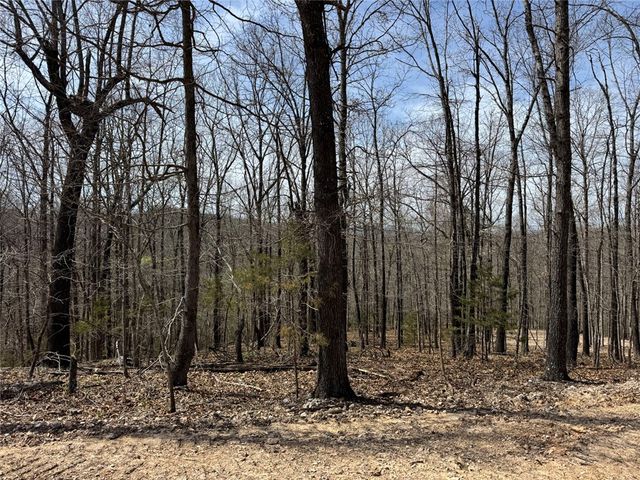 TBD3 Hwy 123, Hasty, AR 72640