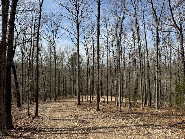 TBD3 Hwy 123, Hasty, AR 72640