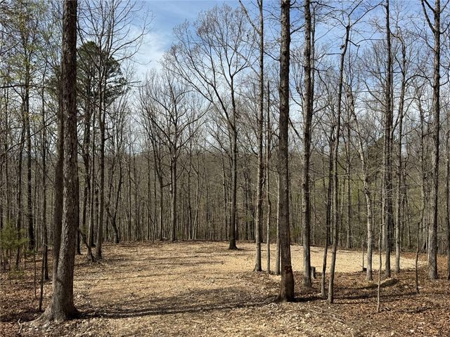 TBD3 Hwy 123, Hasty, AR 72640
